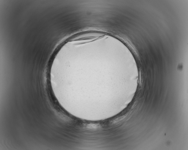 X0000116640204201001251143