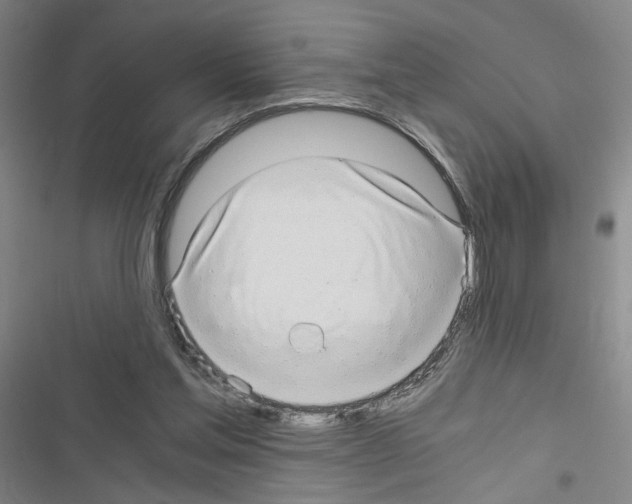 X0000116640205201001251143