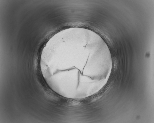 X0000116640206201001251143