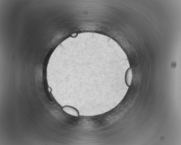 X0000116640207201001251143