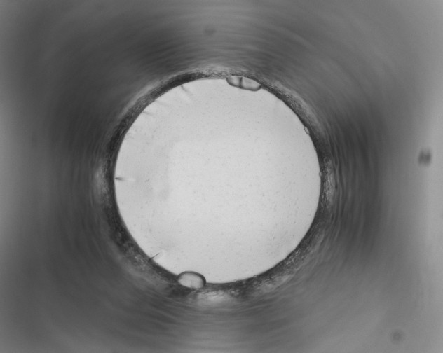 X0000116640208201001251143