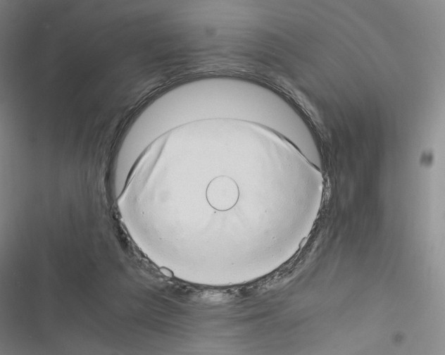 X0000116640209201001251143