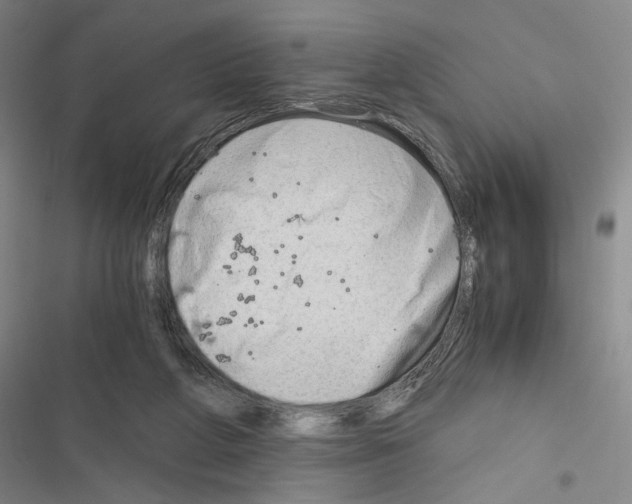 X0000116640210201001251143