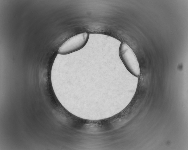 X0000116640211201001251143