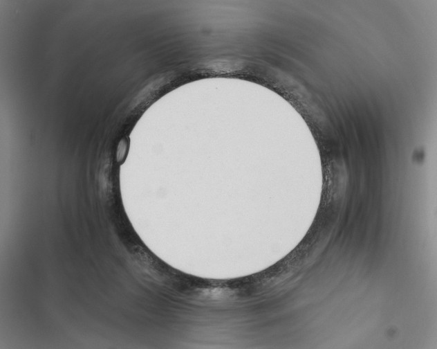 X0000116640212201001251143