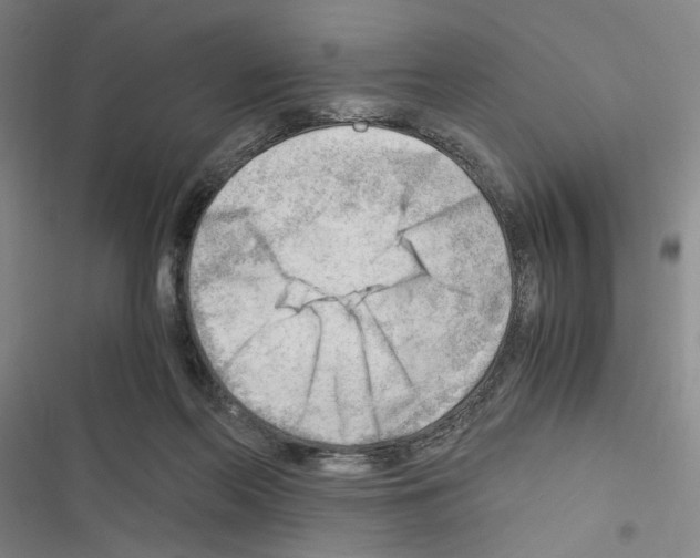 X0000116640214201001251143