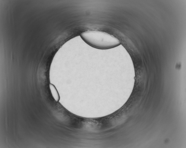 X0000116640215201001251143