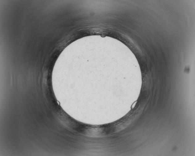 X0000116640217201001251143