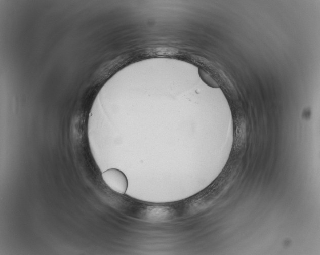 X0000116640218201001251143