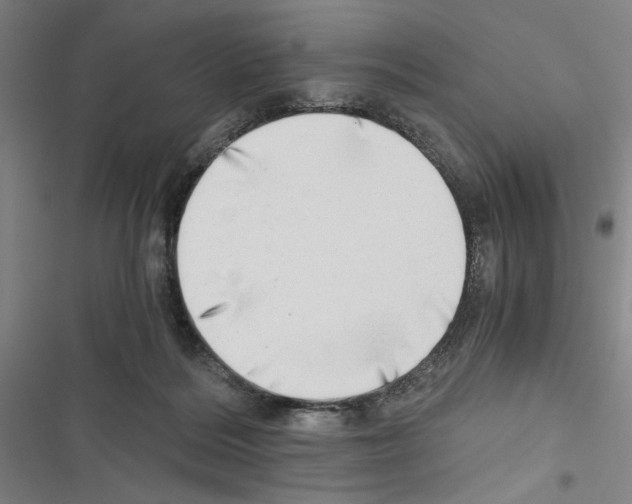 X0000116640220201001251143