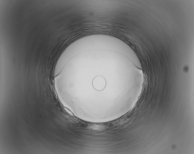 X0000116640221201001251143