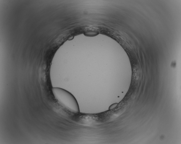 X0000116640223201001251142