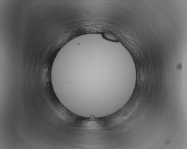 X0000116640224201001251142