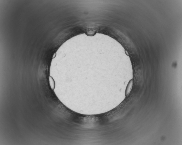 X0000116640225201001251142