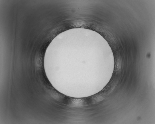 X0000116640226201001251142