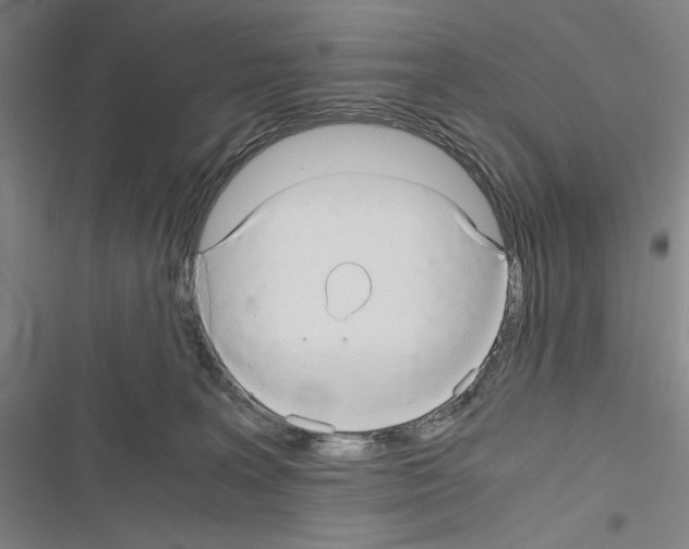 X0000116640227201001251142