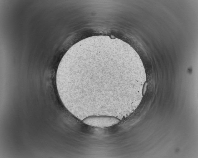 X0000116640229201001251142