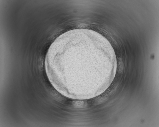 X0000116640230201001251142