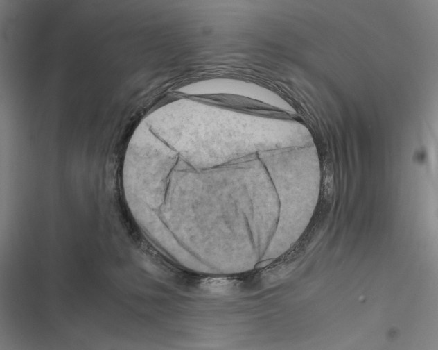 X0000116640231201001251142