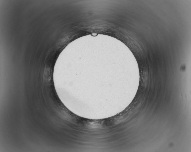 X0000116640232201001251142