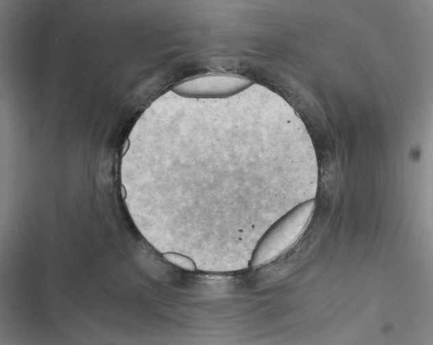 X0000116640233201001251142