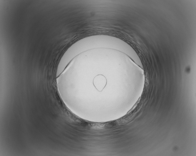 X0000116640235201001251142