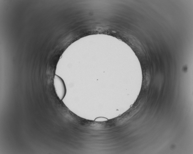 X0000116640236201001251142