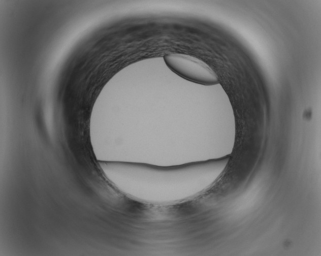 X0000116640239201001251142