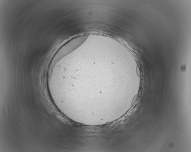 X0000116640241201001251142