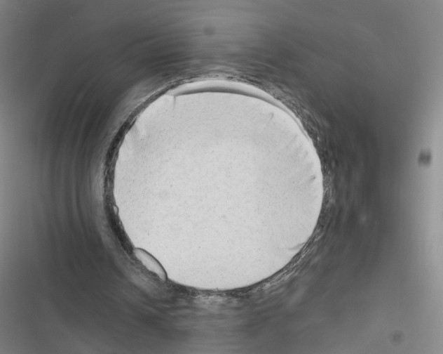 X0000116640242201001251142