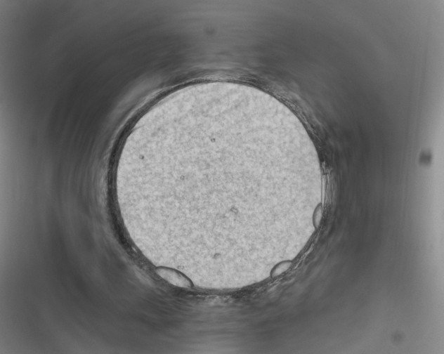 X0000116640243201001251142