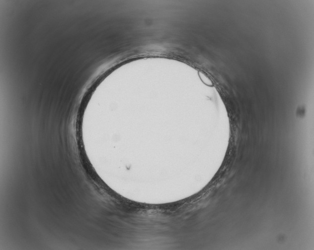 X0000116640244201001251142