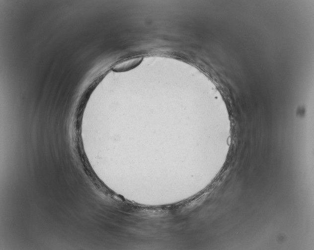 X0000116640245201001251142