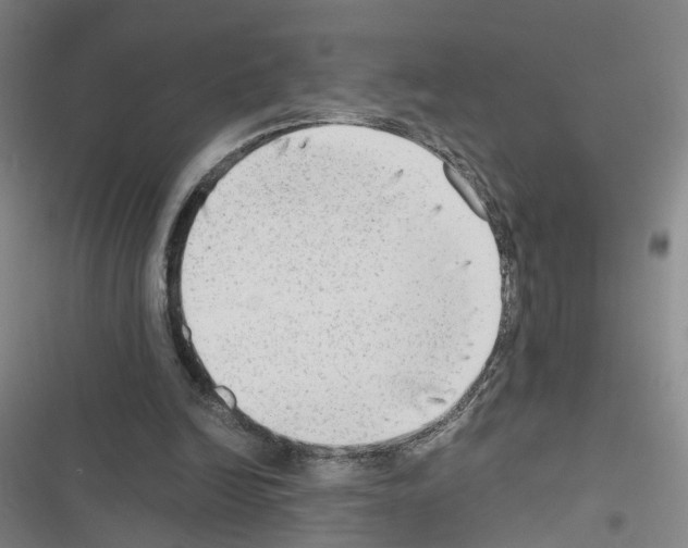 X0000116640246201001251142