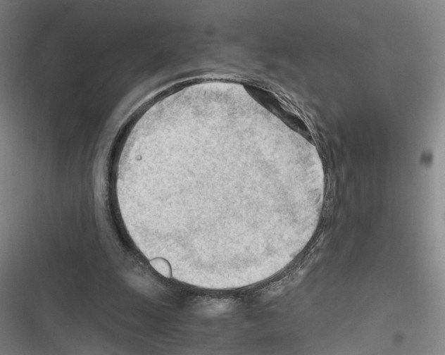 X0000116640247201001251142