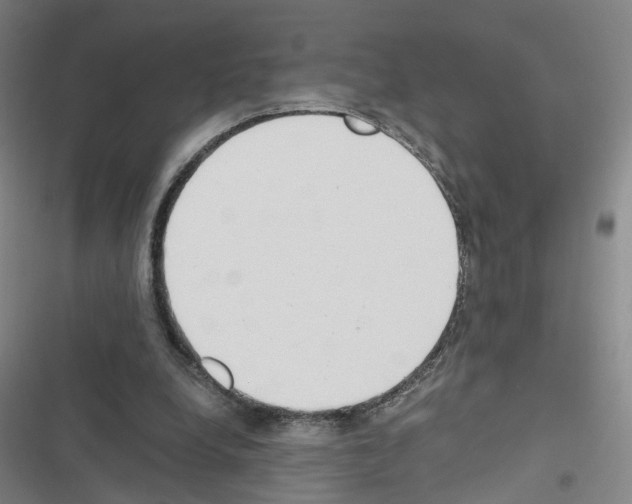 X0000116640248201001251142