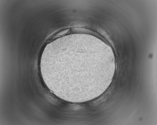 X0000116640249201001251142