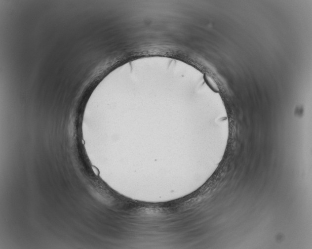 X0000116640250201001251142