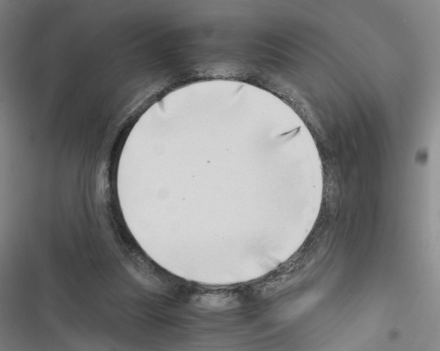 X0000116640251201001251142