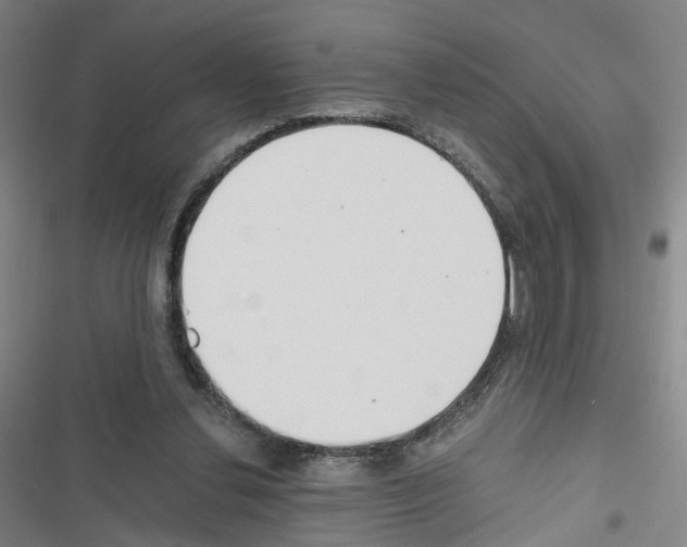 X0000116640252201001251142