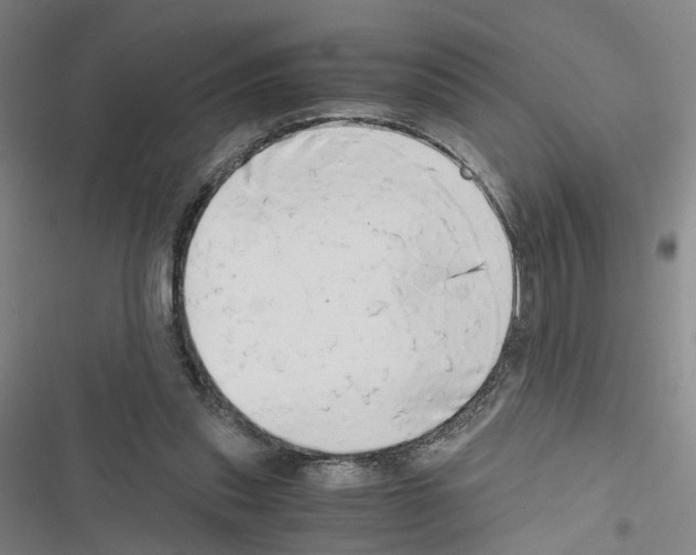 X0000116640253201001251142