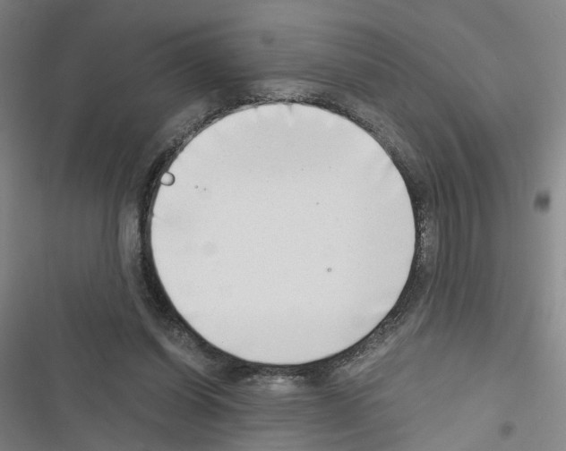 X0000116640254201001251142