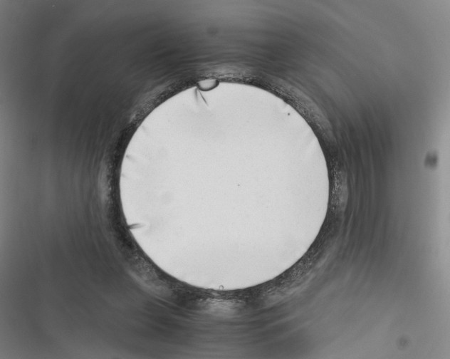 X0000116640255201001251142