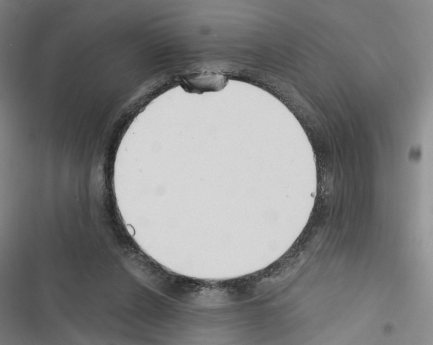 X0000116640256201001251142