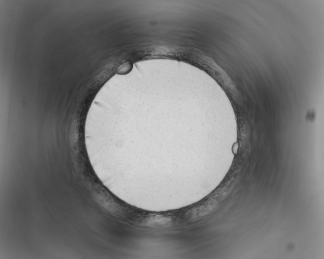 X0000116640257201001251142