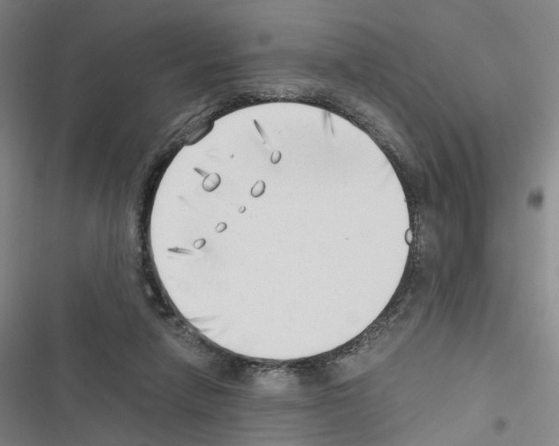 X0000116640258201001251142