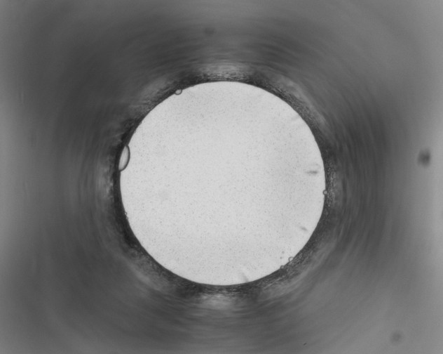 X0000116640259201001251142