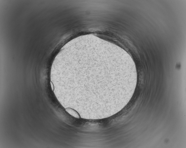 X0000116640260201001251142