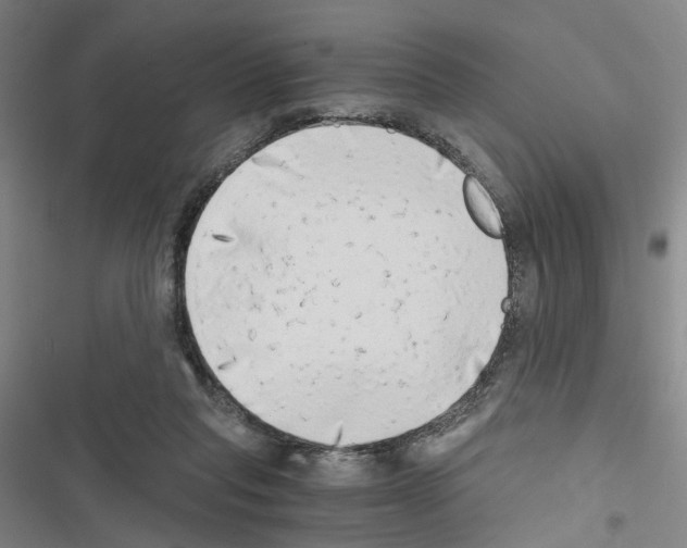 X0000116640261201001251142