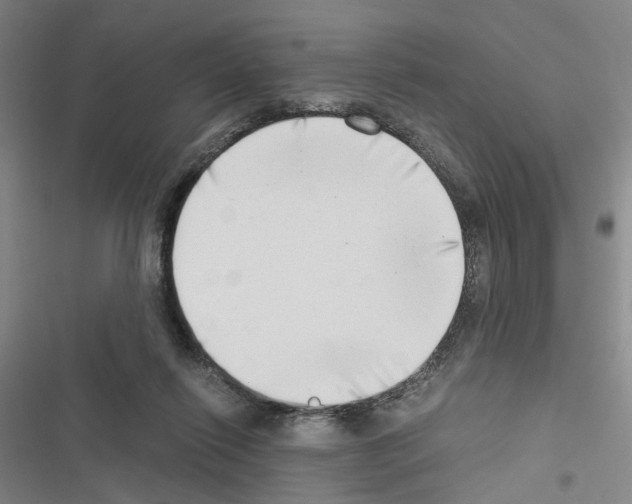 X0000116640262201001251142